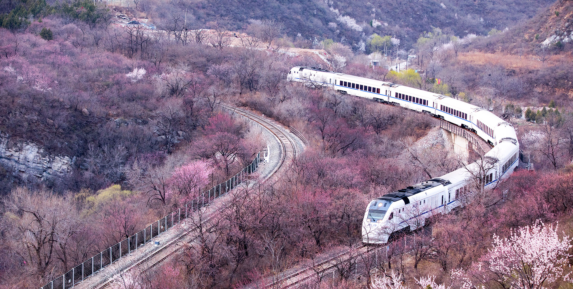 햄버튼 배경화면